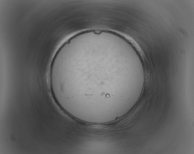 X0000116321295200912291526