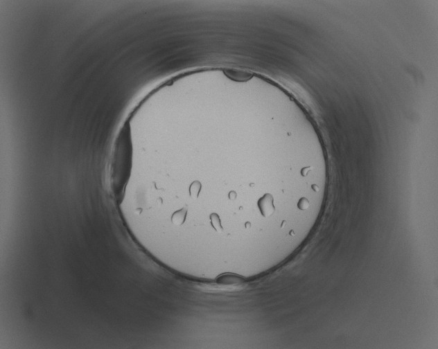 X0000116321296200912291526