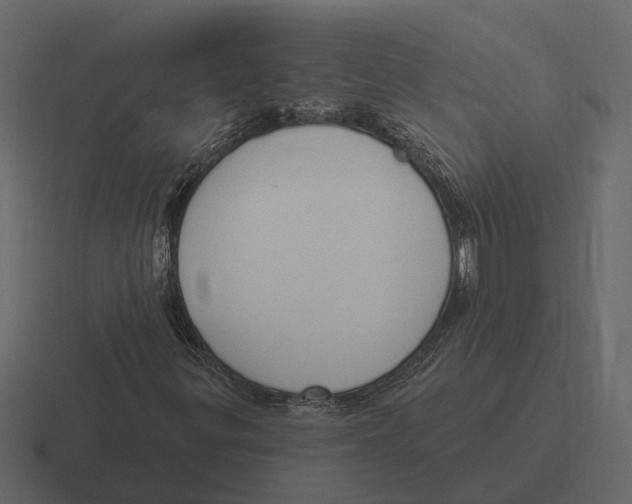 X0000116321299200912291525