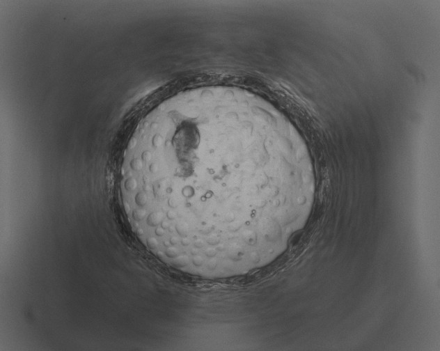 X0000116321302200912291525