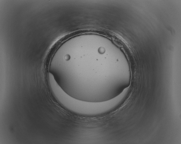 X0000116321310200912291525