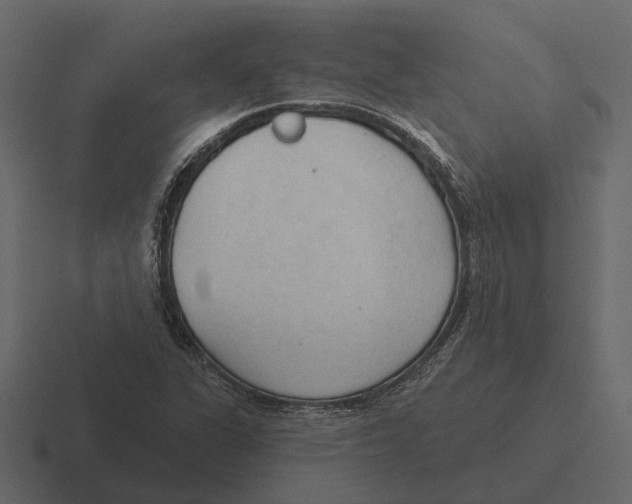 X0000116321311200912291525