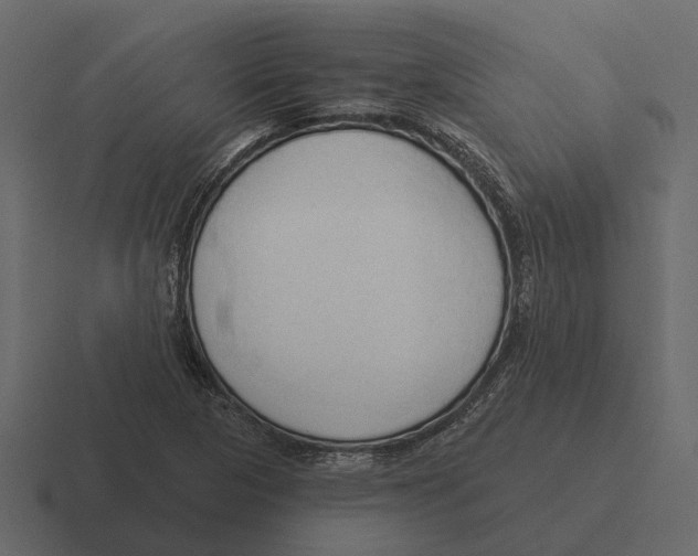 X0000116321313200912291525