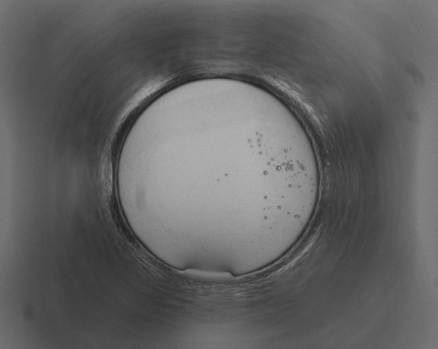 X0000116321317200912291525