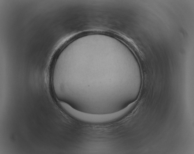 X0000116321319200912291526