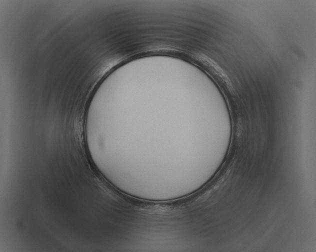 X0000116321321200912291526