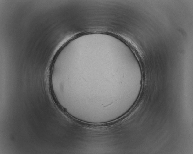 X0000116321325200912291526