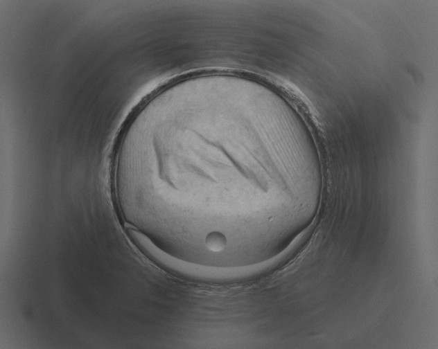 X0000116321326200912291526