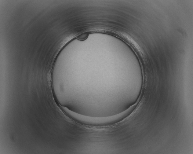 X0000116321329200912291526