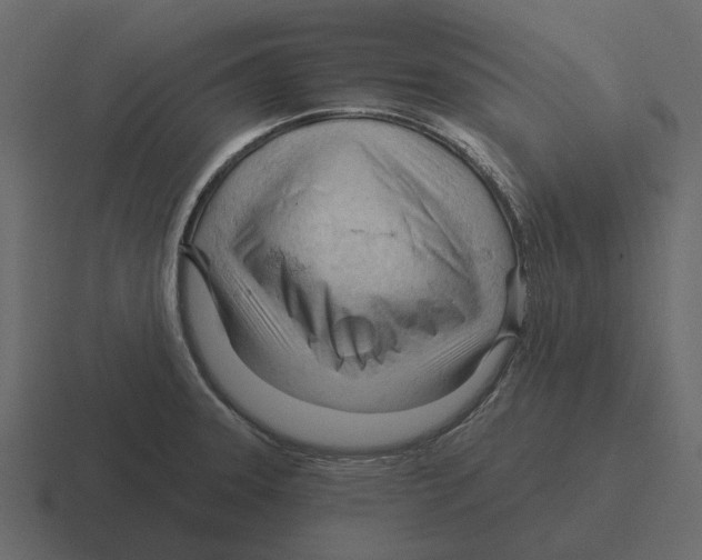 X0000116321331200912291526