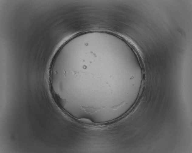 X0000116321333200912291526