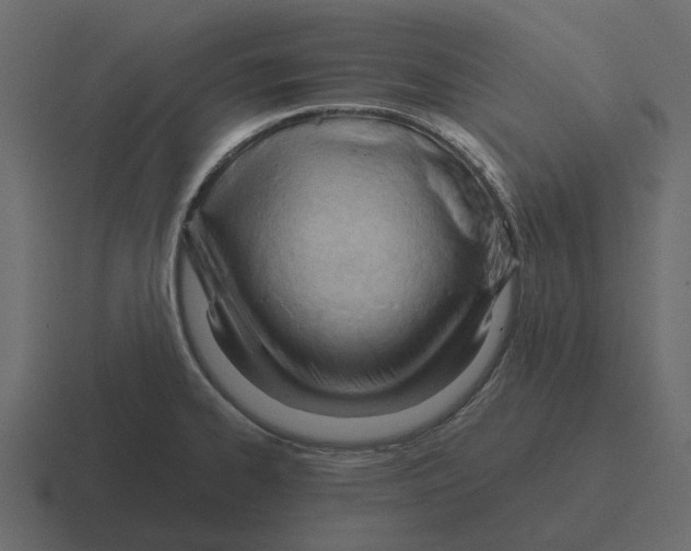 X0000116321334200912291526