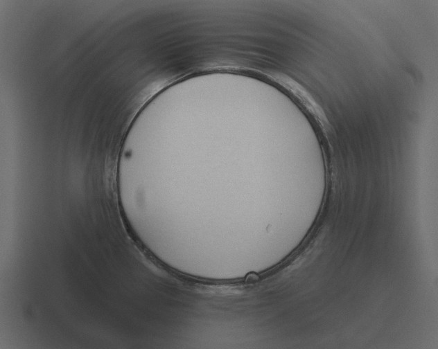 X0000116321337200912291526