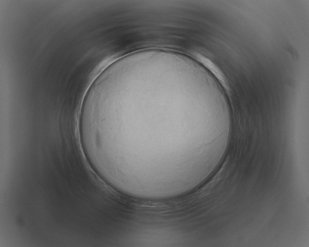 X0000116321338200912291526