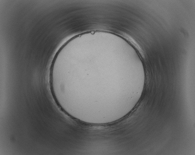 X0000116321339200912291526