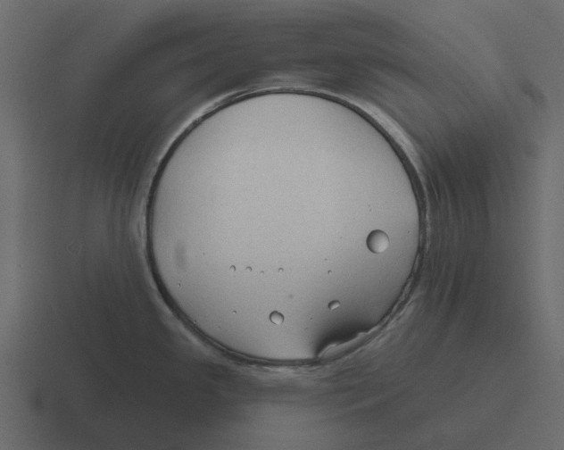 X0000116321341200912291526