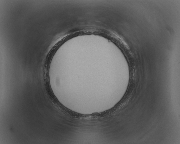 X0000116321352200912291525