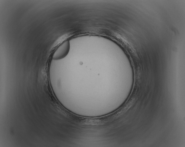 X0000116321354200912291525