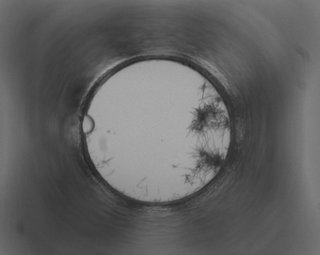 X0000116321356200912291525