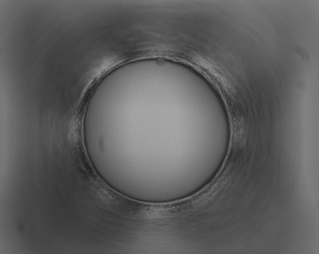 X0000116321357200912291525