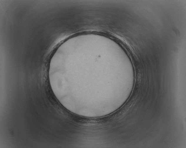 X0000116321359200912291525