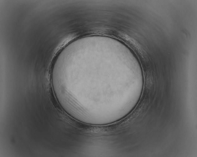 X0000116321362200912291525