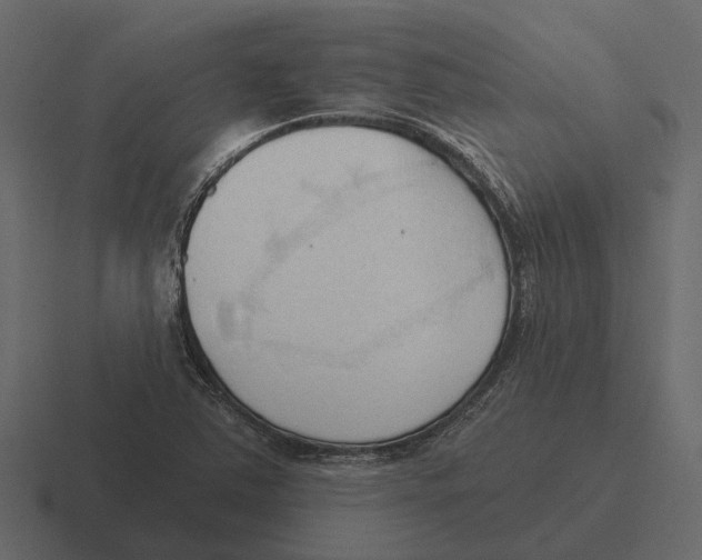 X0000116321363200912291525