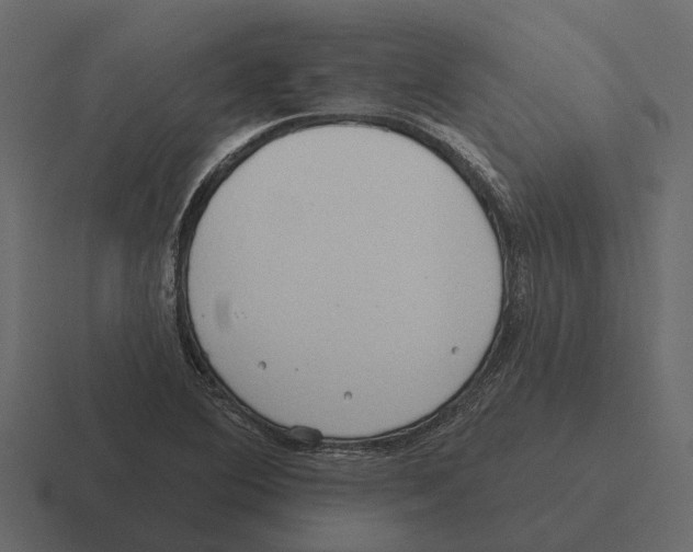 X0000116321364200912291525