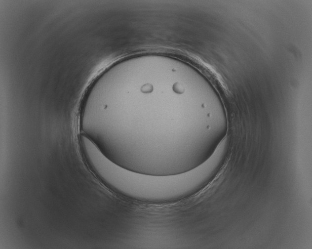 X0000116321365200912291525