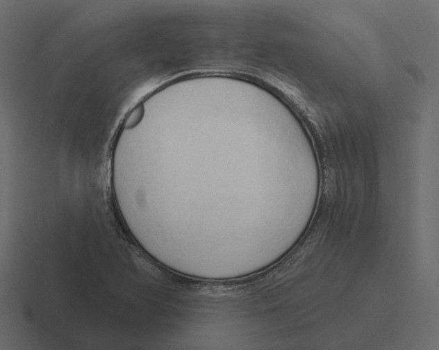 X0000116321366200912291525