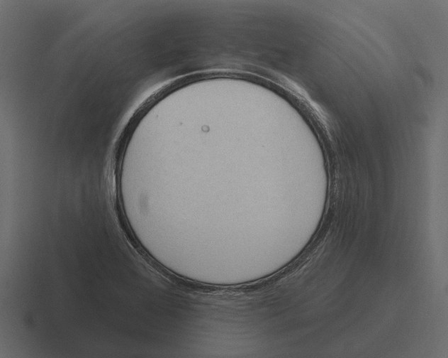 X0000116321368200912291525