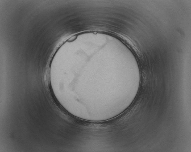 X0000116321371200912291525