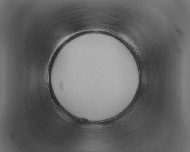 X0000116321372200912291525