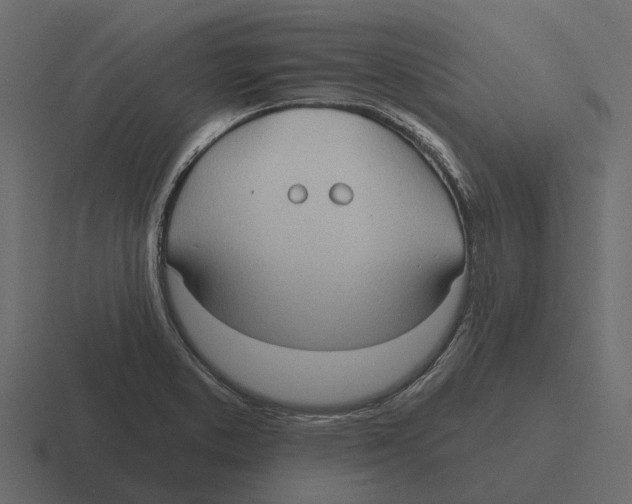 X0000116321373200912291525