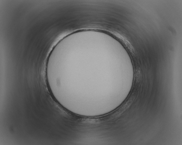 X0000116321374200912291525