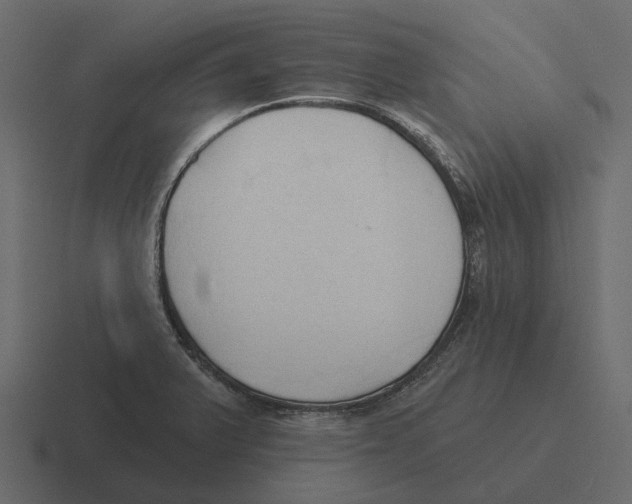 X0000116321375200912291525