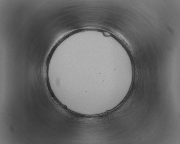 X0000116321376200912291525