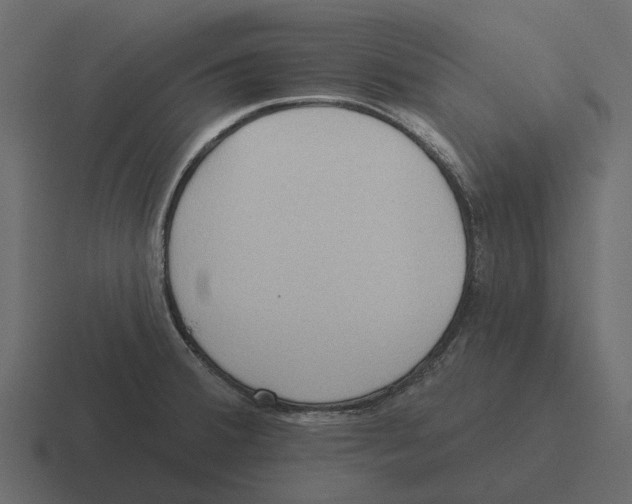 X0000116321380200912291525