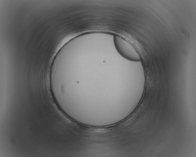 X0000116321382200912291525