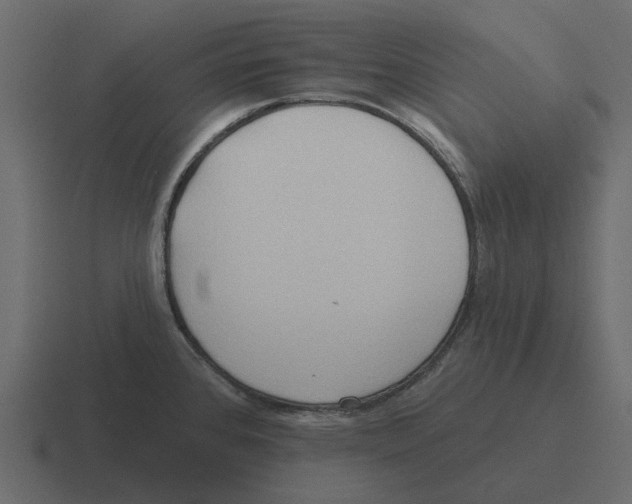 X0000116321384200912291525