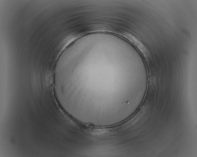 X0000116321385200912291525