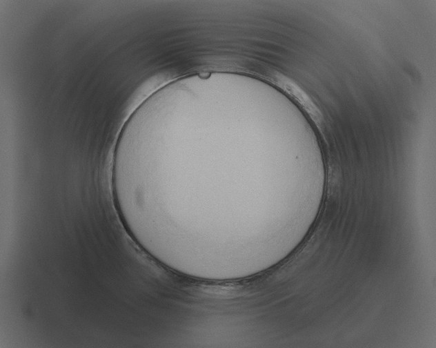 X0000116321386200912291525