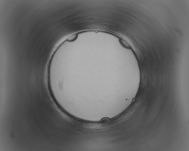 X0000116321387200912291525