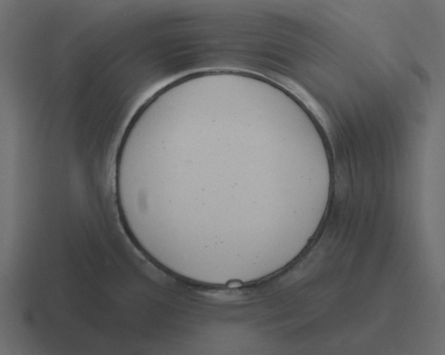 X0000116321388200912291525