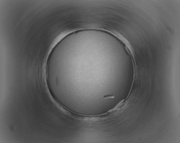 X0000116321389200912291525