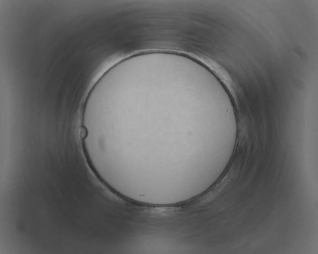 X0000116321390200912291525