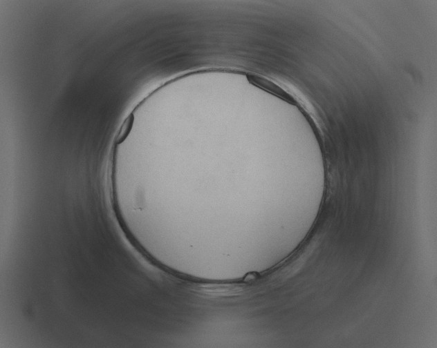 X0000116321391200912291525