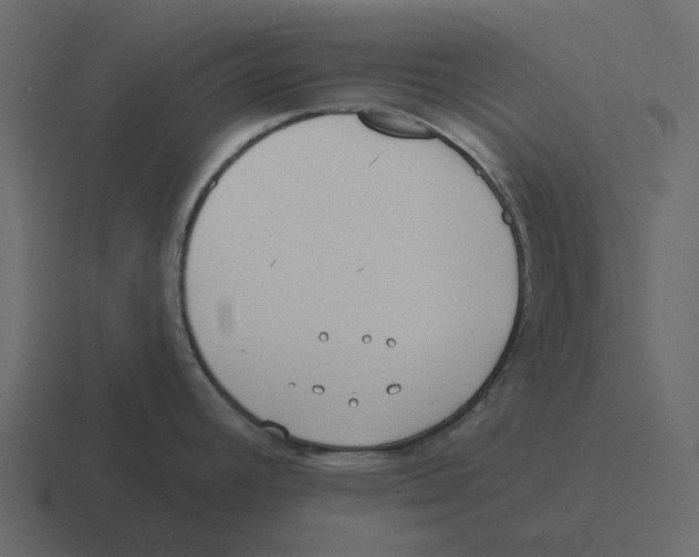 X0000116321392200912291525