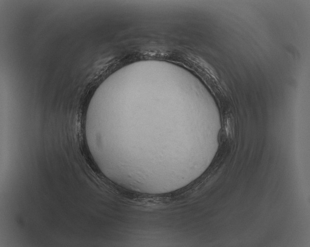 X0000116321396200912291524