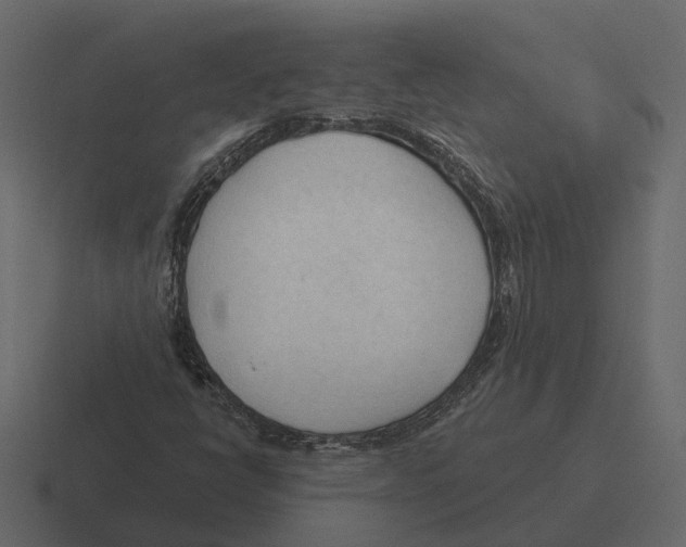 X0000116321398200912291524